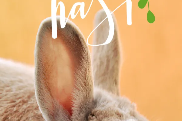 Hase, Handlettering Ostern mit Ostergruß