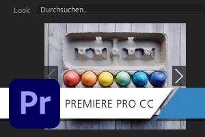 Premiere Pro CC-Anleitung: Video-LUTs für Retro-Effekte anwenden