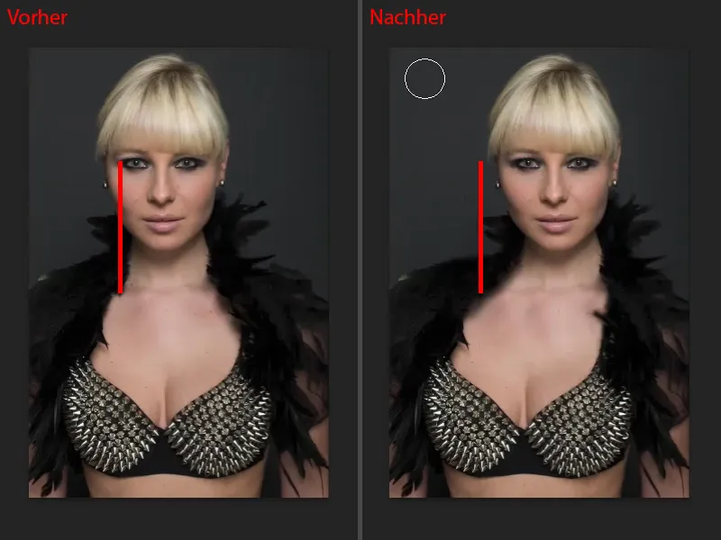 Looks & Styles mit Photoshop - Gesichtsform optimieren