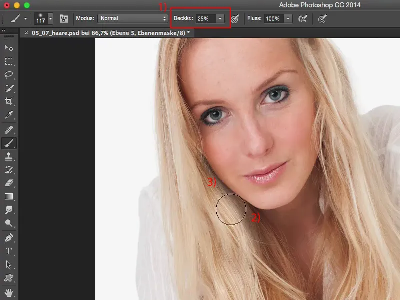 Looks & Styles mit Photoshop - Haare perfektionieren