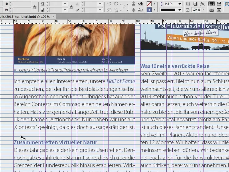 Visuelle Hilfsmittel in InDesign nutzen