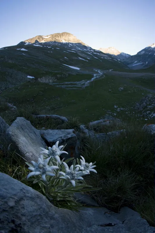 Bergfotografie - Teil 02 - Klassische Berglandschaft - Technik - Bildaufbau