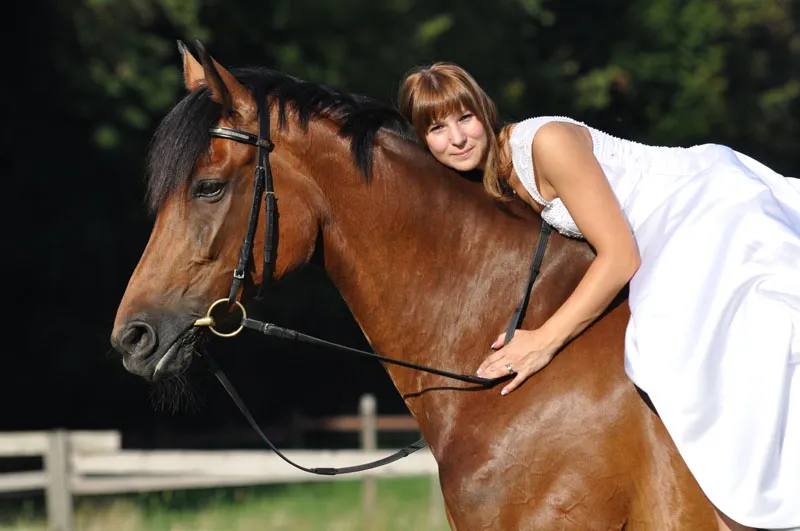 Fotografie cu animale Partea 08: Fotografie cu cai