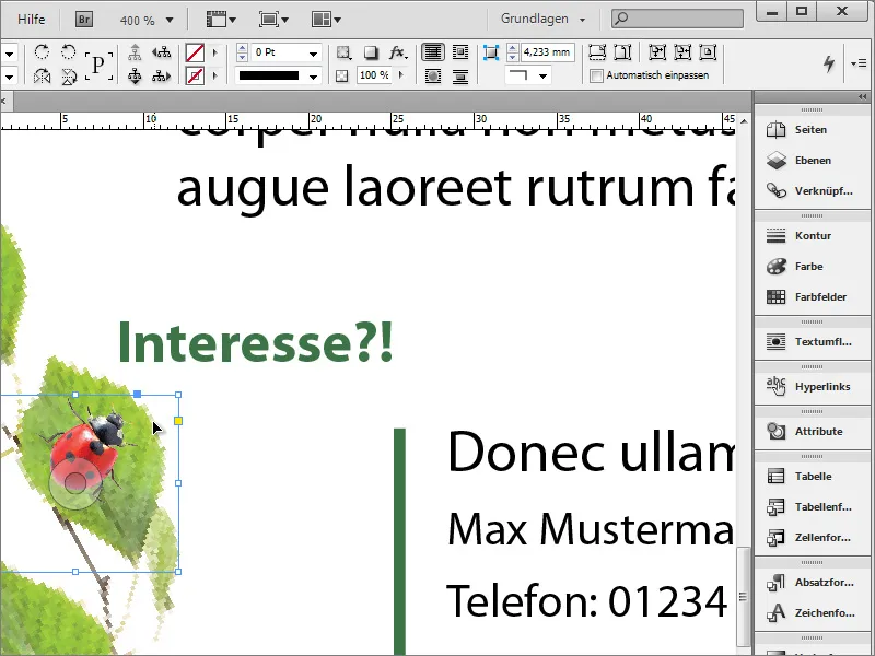 Crearea unui anunț de angajare în Adobe InDesign.