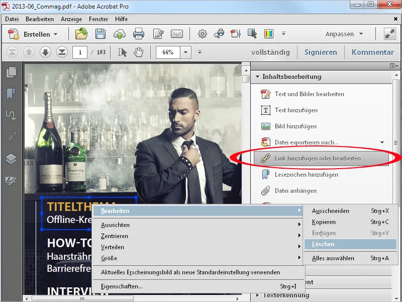 Texte und Objekte bearbeiten mit Acrobat