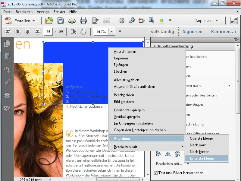 Texte und Objekte bearbeiten mit Acrobat
