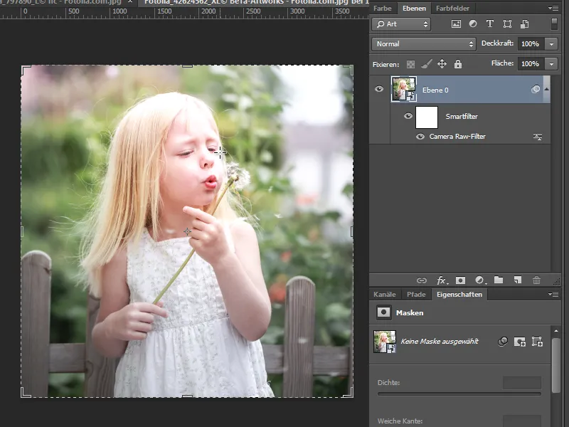 Noutăți în Creative Cloud: Photoshop CC 14 (iunie 2013) - 05 Camera Raw 8.