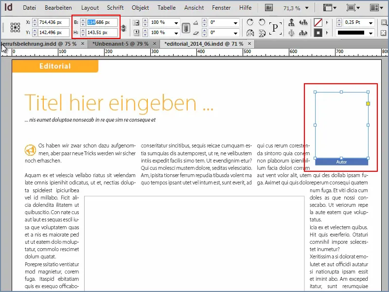 Tipps &amp; Tricks zu Adobe InDesign: Bild-Platzhalter für jede erdenkliche Auflösung finden