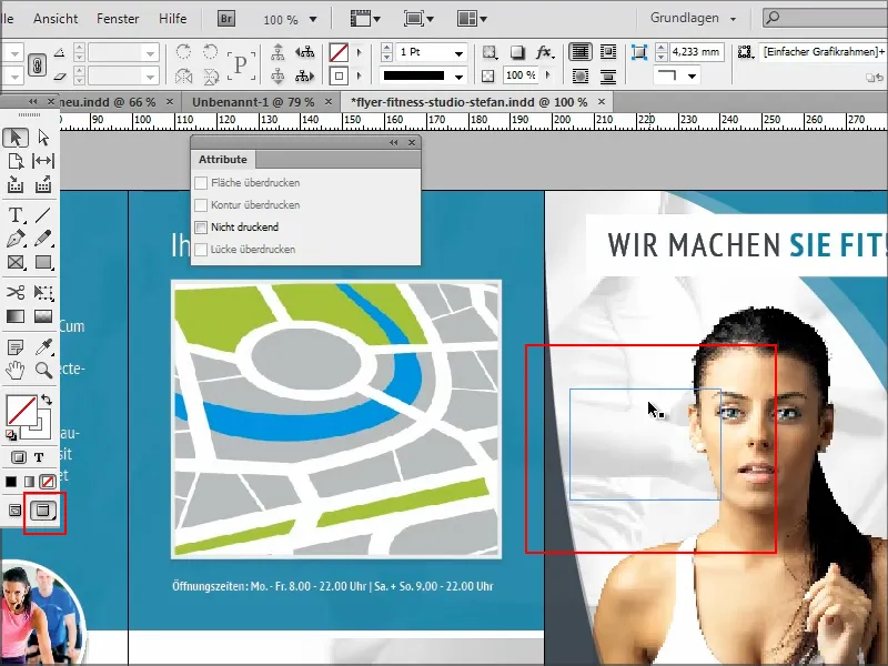 Sfaturi și trucuri pentru Adobe InDesign - informații importante care nu pot fi tipărite.