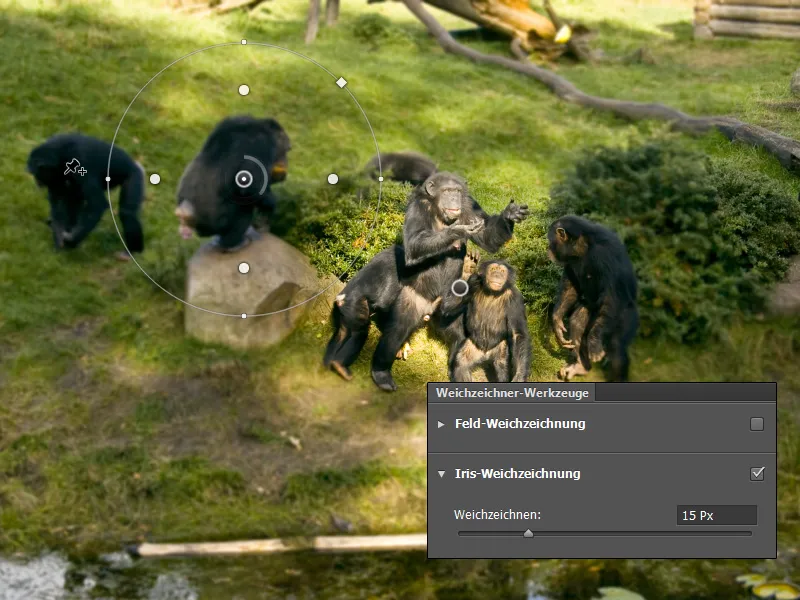 Neue Funktionen in Photoshop CS6: Weichzeichnungsfilter