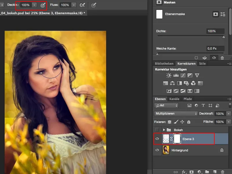 Aspecte și stiluri cu Photoshop - Bokeh artificial